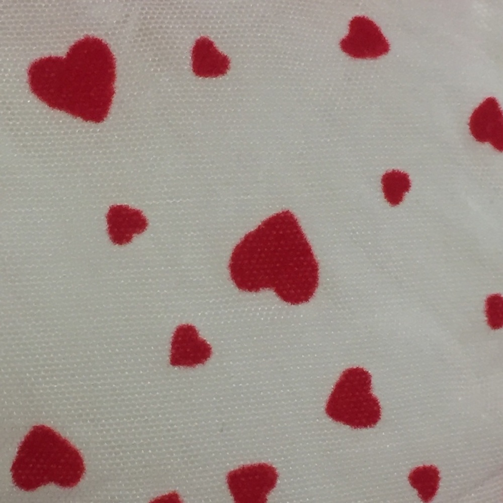Hearts 💗Thong VS NWT Mesh Flocked Thong Valentine - Picture 16 of 16